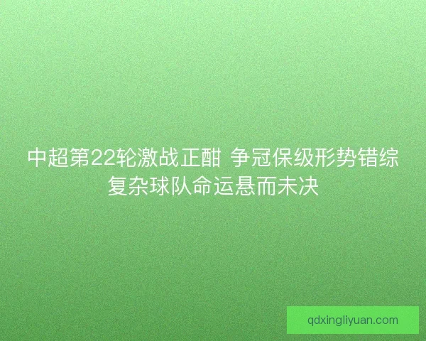中超第22轮激战正酣 争冠保级形势错综复杂球队命运悬而未决
